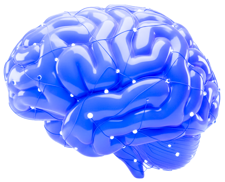 AI Training Introduction